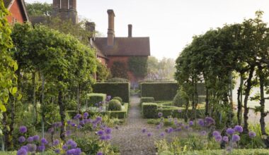 Art for Cure taking place at Wyken Vineyards in Suffolk