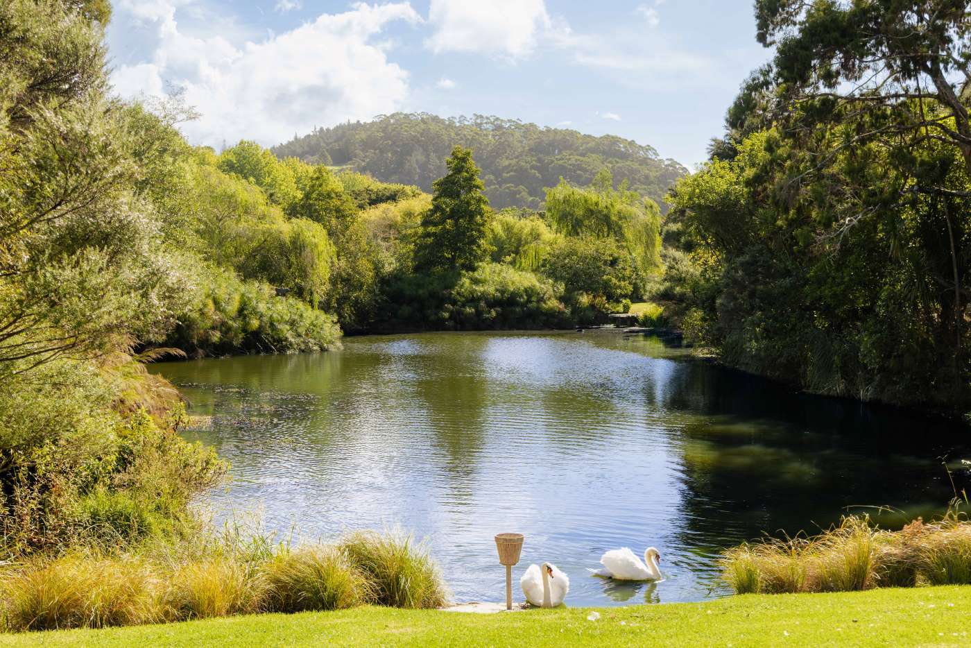 The 48ha estate at Andersons Cove, in Northland, has reportedly been snapped up by an expat. Photo / Supplied