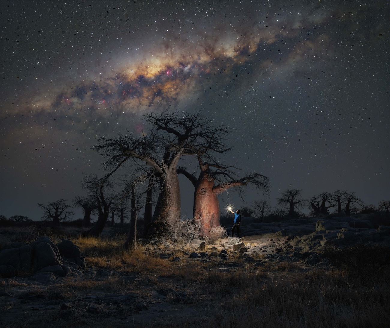 Milky Way Photographer of the Year