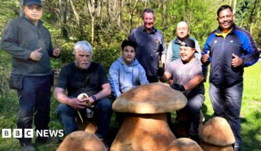 A group of men stand in a woodland area alongside large wooden toadstools.
