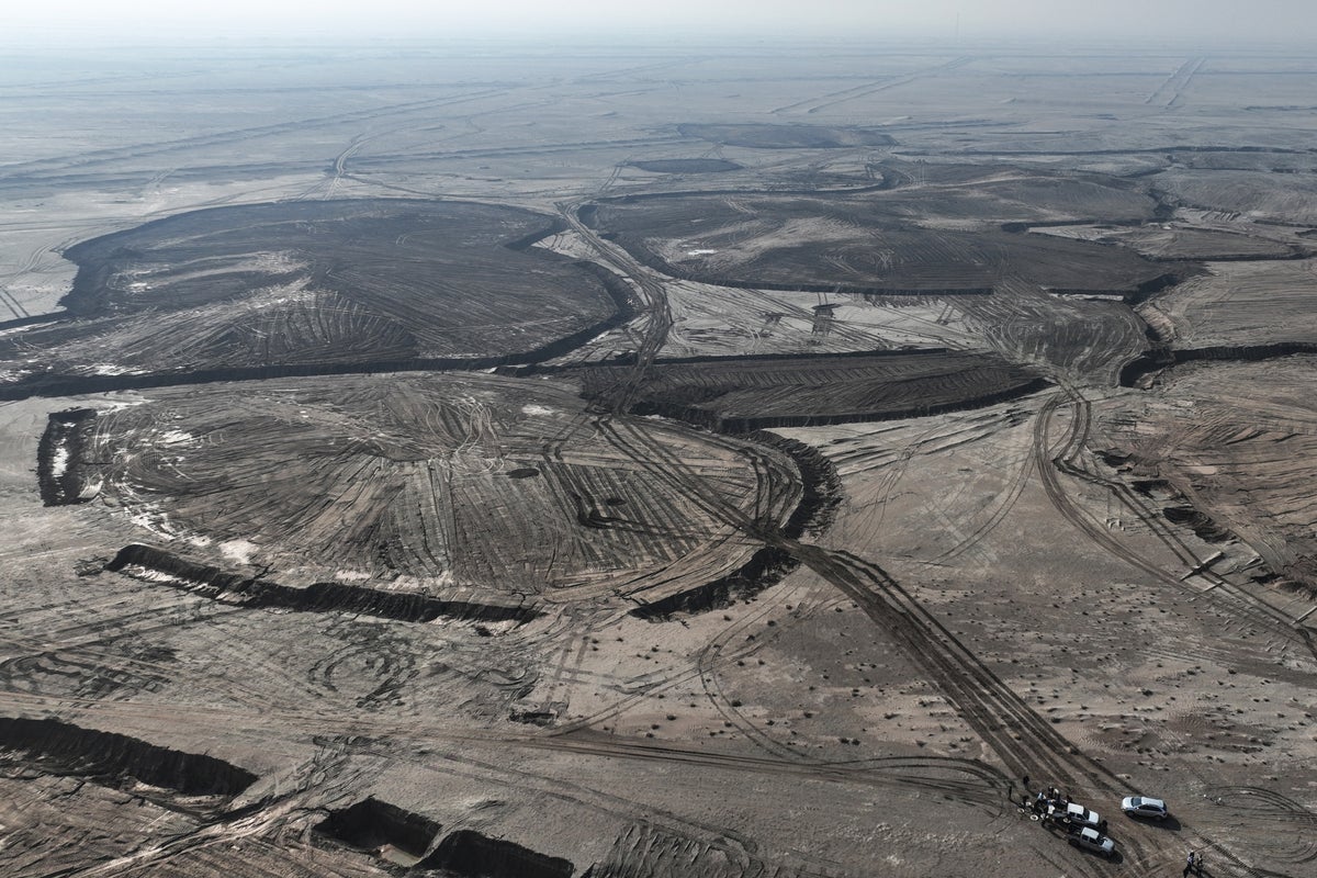 ‘Massive’ £200bn increase in funds needed to stop land around world turning to dust, UN warns