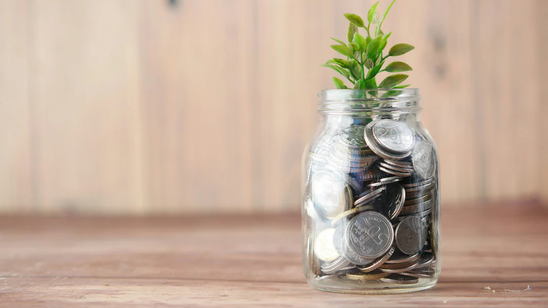 PF Interest Rate 8.25%: Should You Increase VPF Contribution?
