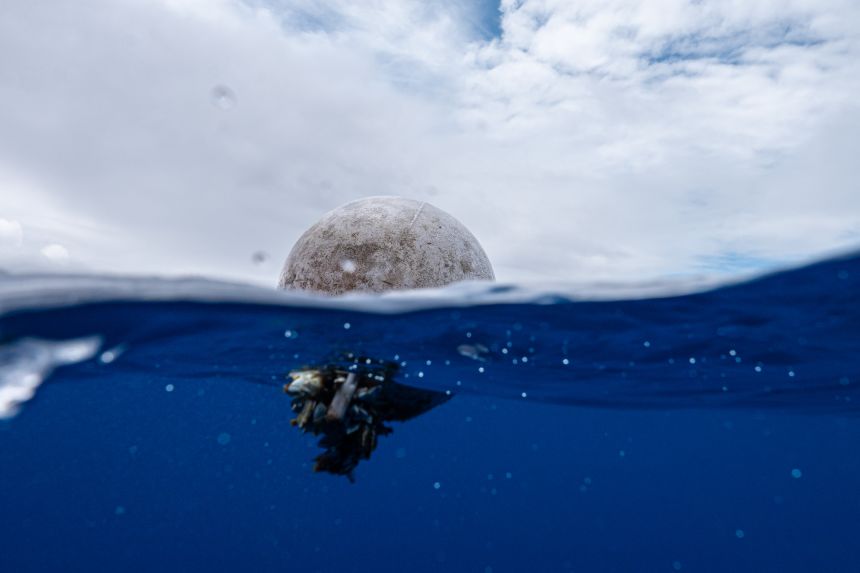 Plastic floats in the Great Pacific Garbage Patch.