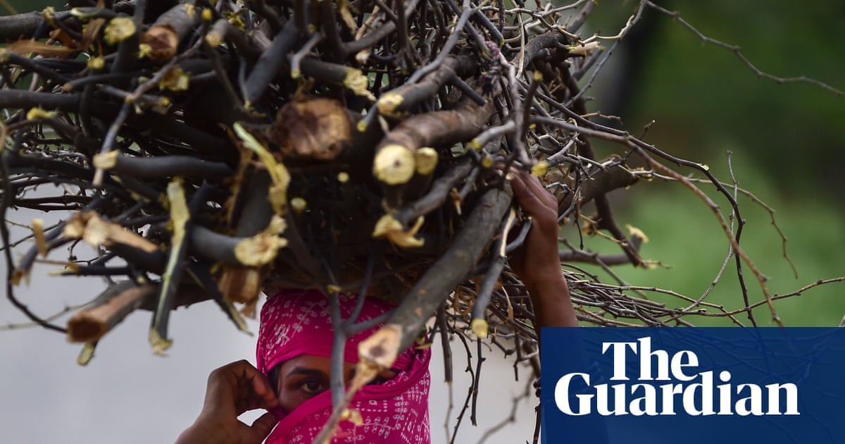 Public health at risk across Asia as price of gas for cooking soars | India