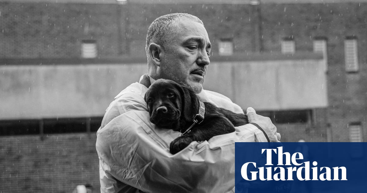 ‘You look at it and you just feel better’: this year’s Photoville festival highlights | Photography