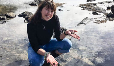 SunLive - Novice climber dies after Ruapehu, 250m ice fall
