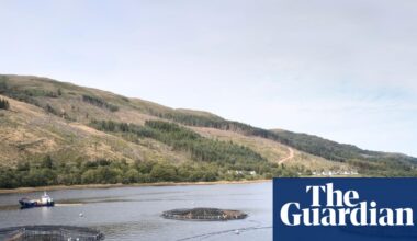 Fish farms and pollution in Scotland | Fish