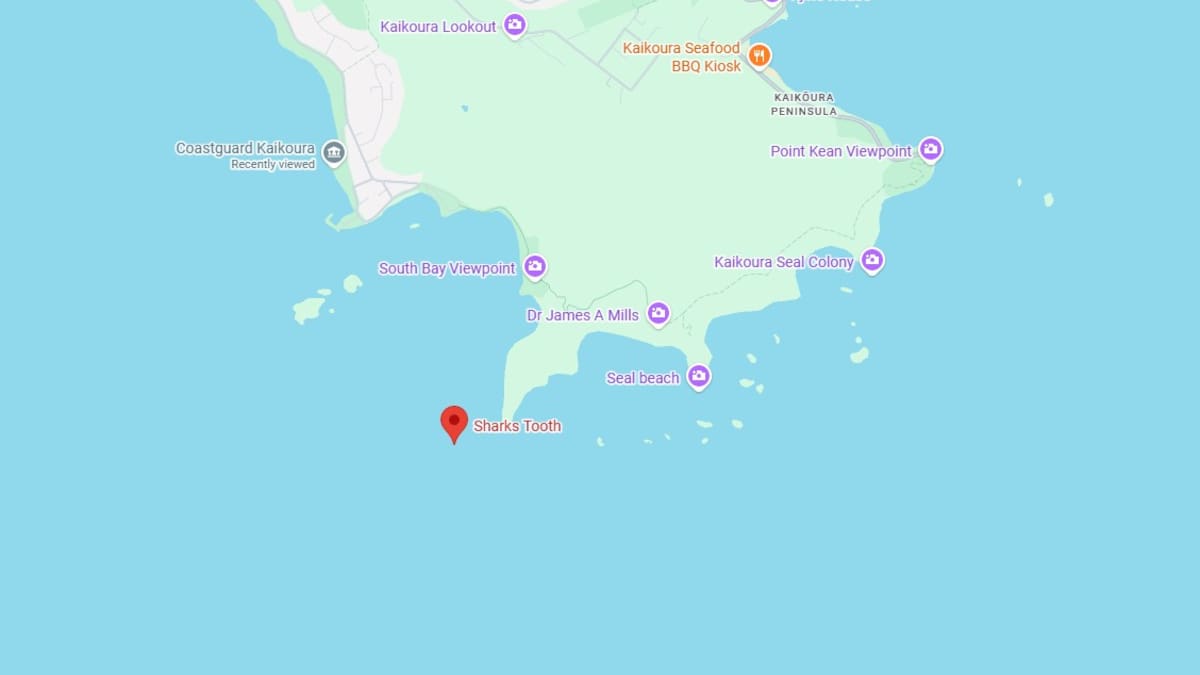 Maritime New Zealand probes fatal Kaikōura boat capsize at Sharks Tooth