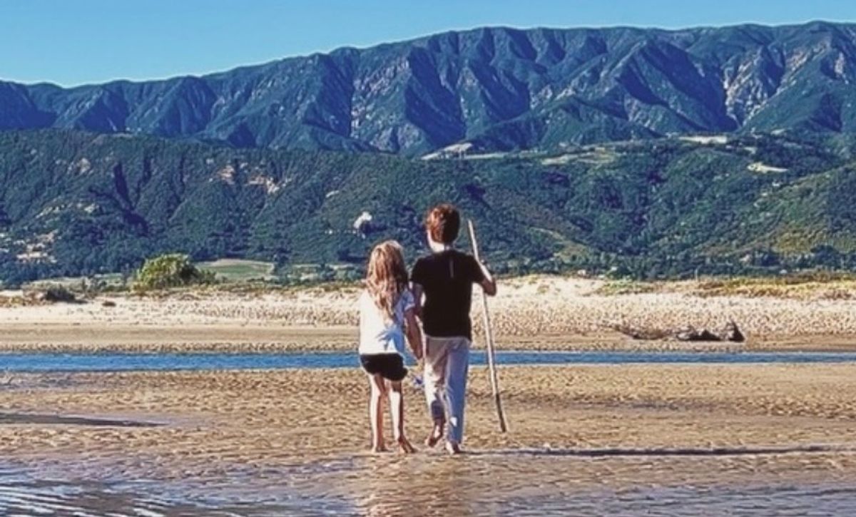 Archie is pictured on a beach