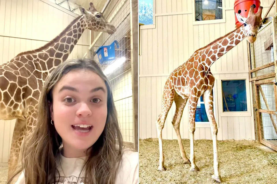 Kamryn Grant and her giraffe YoshiCredit: Kamryn Grant