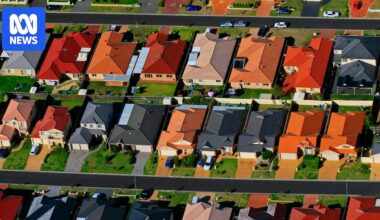 AI recruited to speed up home approvals, in budget set to reshape housing market