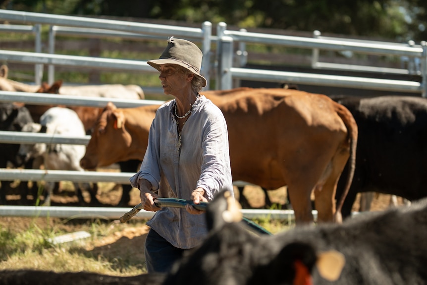 Rachel Ward at her farm surrounded by cows.