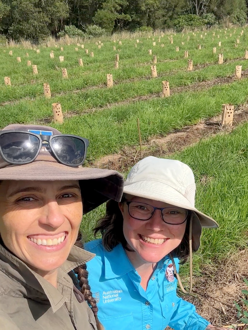 Two women in wide brim hats take a selfie in a green grassy field of tree plantings.