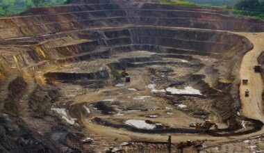 DR Congo’s cobalt quotas force miners to stockpile, pivot, or pause