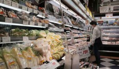 Prices to Rise for Over 1,000 Food Items in Japan in June