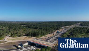 ‘Six lanes of tarmac and vehicles doing 70mph’: can ‘green bridges’ help animals cross the UK’s motorways in safety? | Biodiversity