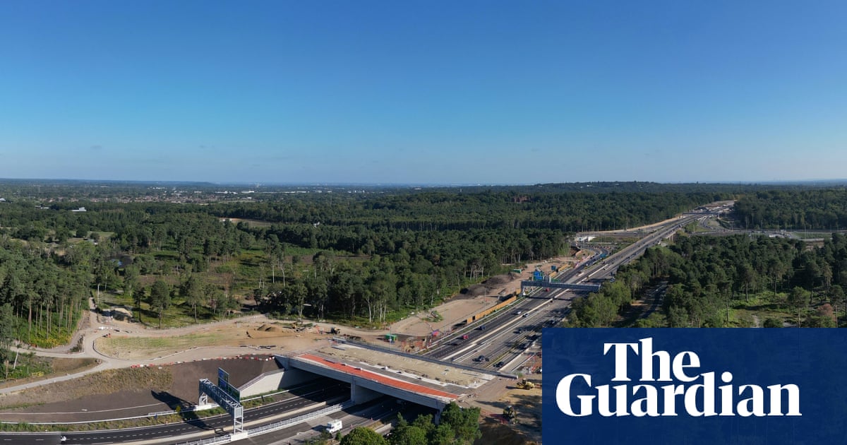 ‘Six lanes of tarmac and vehicles doing 70mph’: can ‘green bridges’ help animals cross the UK’s motorways in safety? | Biodiversity