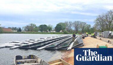 Solar booms in industrial US midwest as energy crisis persists | Ohio