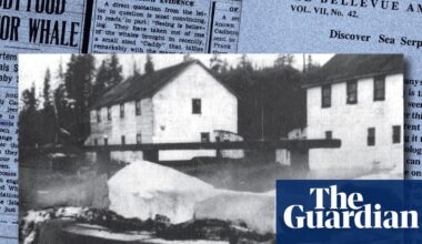 Shark or sea monster? The Canadian marine mystery that still intrigues experts 90 years on | Marine life