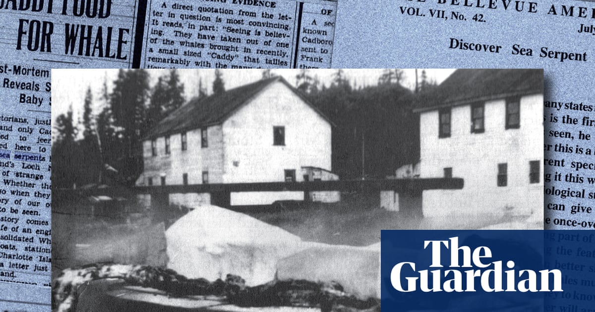 Shark or sea monster? The Canadian marine mystery that still intrigues experts 90 years on | Marine life