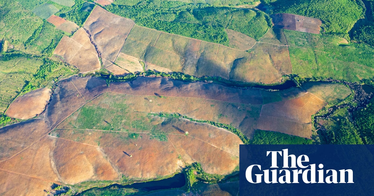 Brazil’s Atlantic forest records lowest deforestation in 40 years | Brazil