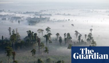 Conservationists alarmed by drastic cuts to key UK fund for global nature protection | Conservation