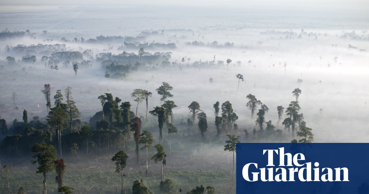 Conservationists alarmed by drastic cuts to key UK fund for global nature protection | Conservation