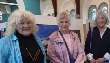 Stunning bog paintings in new Laois show - News