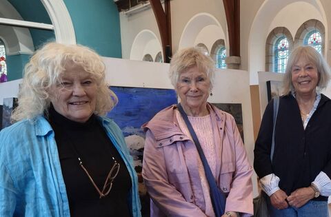 Stunning bog paintings in new Laois show - News
