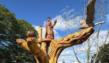 Stunning tree sculpture in Laois community garden - News