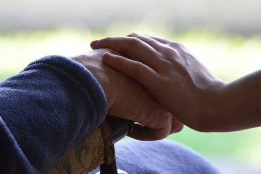 A young girl's hand over an elderly man's hand sitting on the arm of a chair.