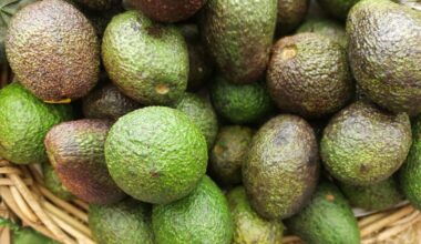 Avocado varieties in New Zealand: From Hass to AvoGrey Greenskin