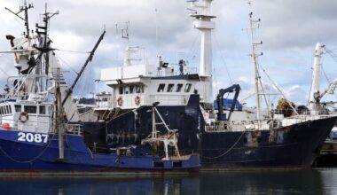 Northland’s Ngāpuhi joins iwi fisheries collective to boost seafood returns