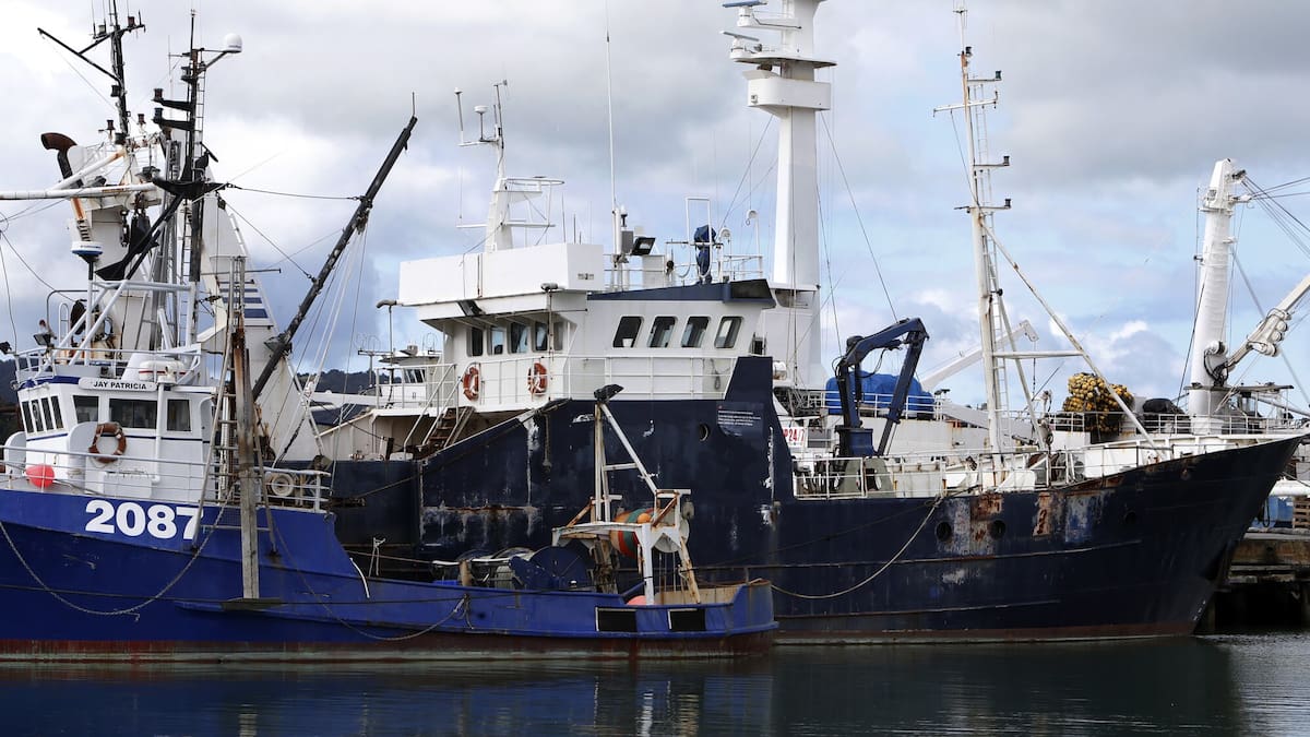 Northland’s Ngāpuhi joins iwi fisheries collective to boost seafood returns