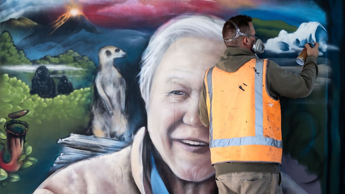 Sir David Attenborough turns 100: New Zealand pays tribute to conservation champion