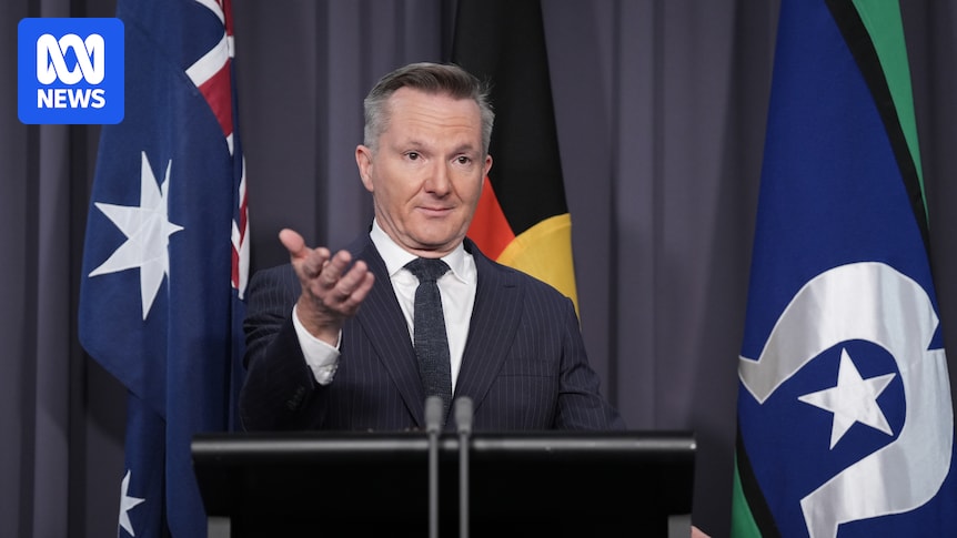 Labor is quietly confident the battery boom will help prevent power price shocks