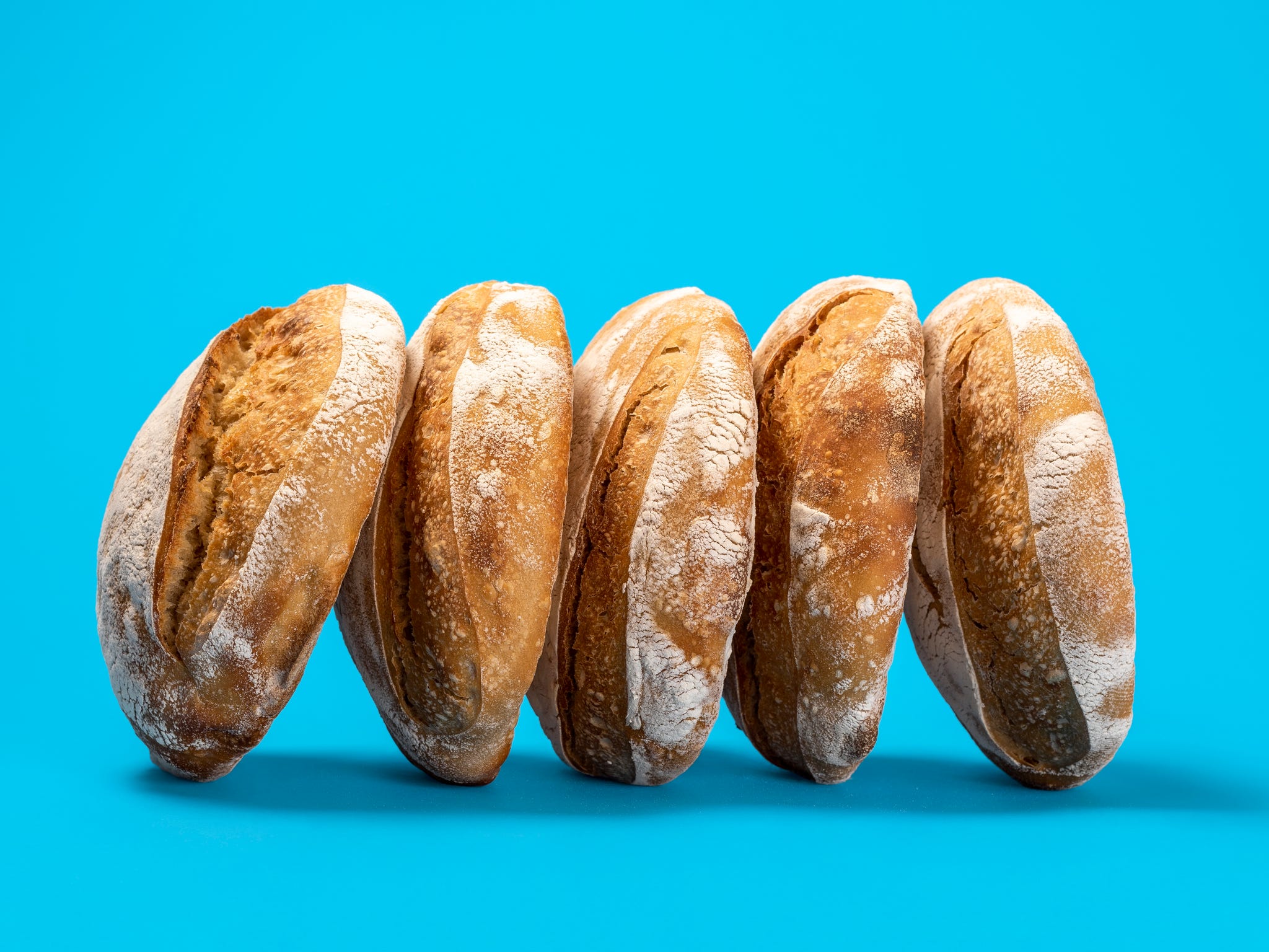 delicious sourdough loaves of bread isolated on a blue colored background. sideview with a couple of home baked loaves of bread on a blue table.