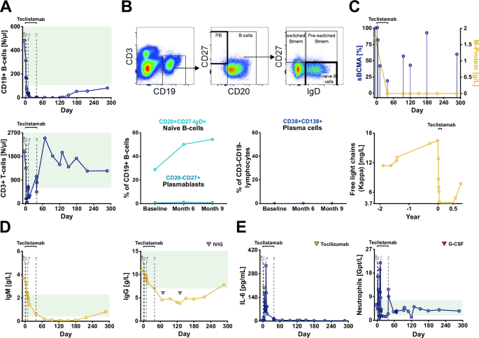 Fig. 2: Patient 1: Immunological changes and serologic responses in refractory IgM-paraproteinemic autoimmune neuropathy treated with teclistamab.