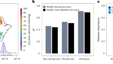 Increasing atmospheric dryness and storms accelerates biomass turnover in Amazonian forests