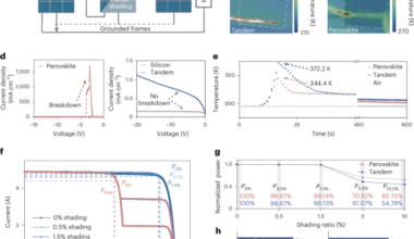 Improving the stability of monolithic perovskite/silicon tandems against reverse-bias stress using graded dielectric layers