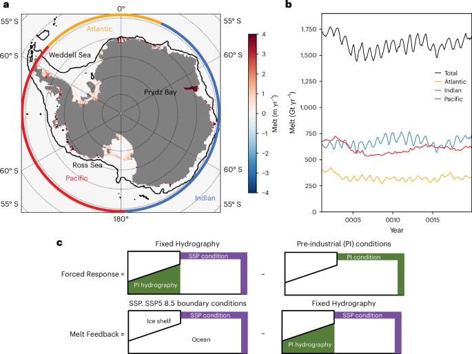 Antarctic ice-shelf basal melt shaped by competing feedbacks