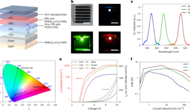 Electrically programmable circularly polarized three-dimensional display