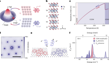 Resonant chiral dressing by amplitude fluctuations in a ferroaxial electronic crystal
