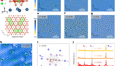 Spatially anisotropic Kondo resonance coupled with the superconducting gap in a kagome metal