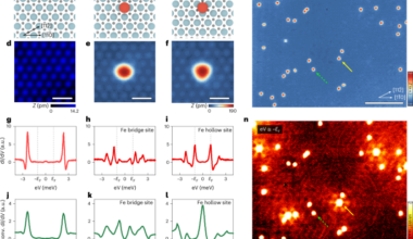 Robustness of Majorana modes to a disorder potential in atomic chains on a superconducting Rashba alloy