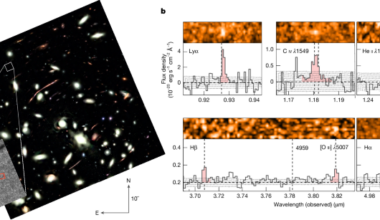 An ultra-faint, chemically primitive galaxy forming in the reionization era