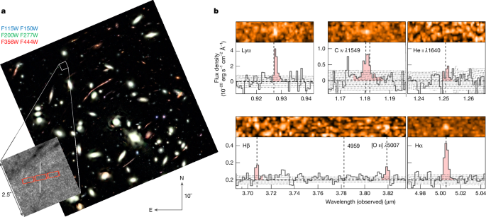An ultra-faint, chemically primitive galaxy forming in the reionization era