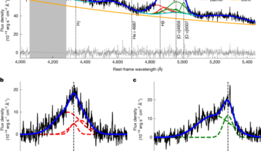 Extreme galaxy-scale outflows are frequent among luminous early quasars