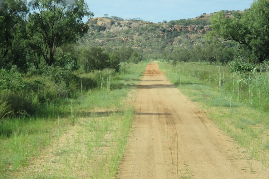 A dirt road with long grass on either side and ranges in the distance