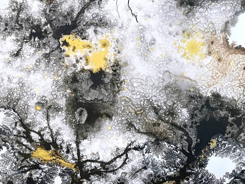 Detail from Naturally Natural #120. (Xiaojing Yan/Campbell River Art Gallery/Contributed)